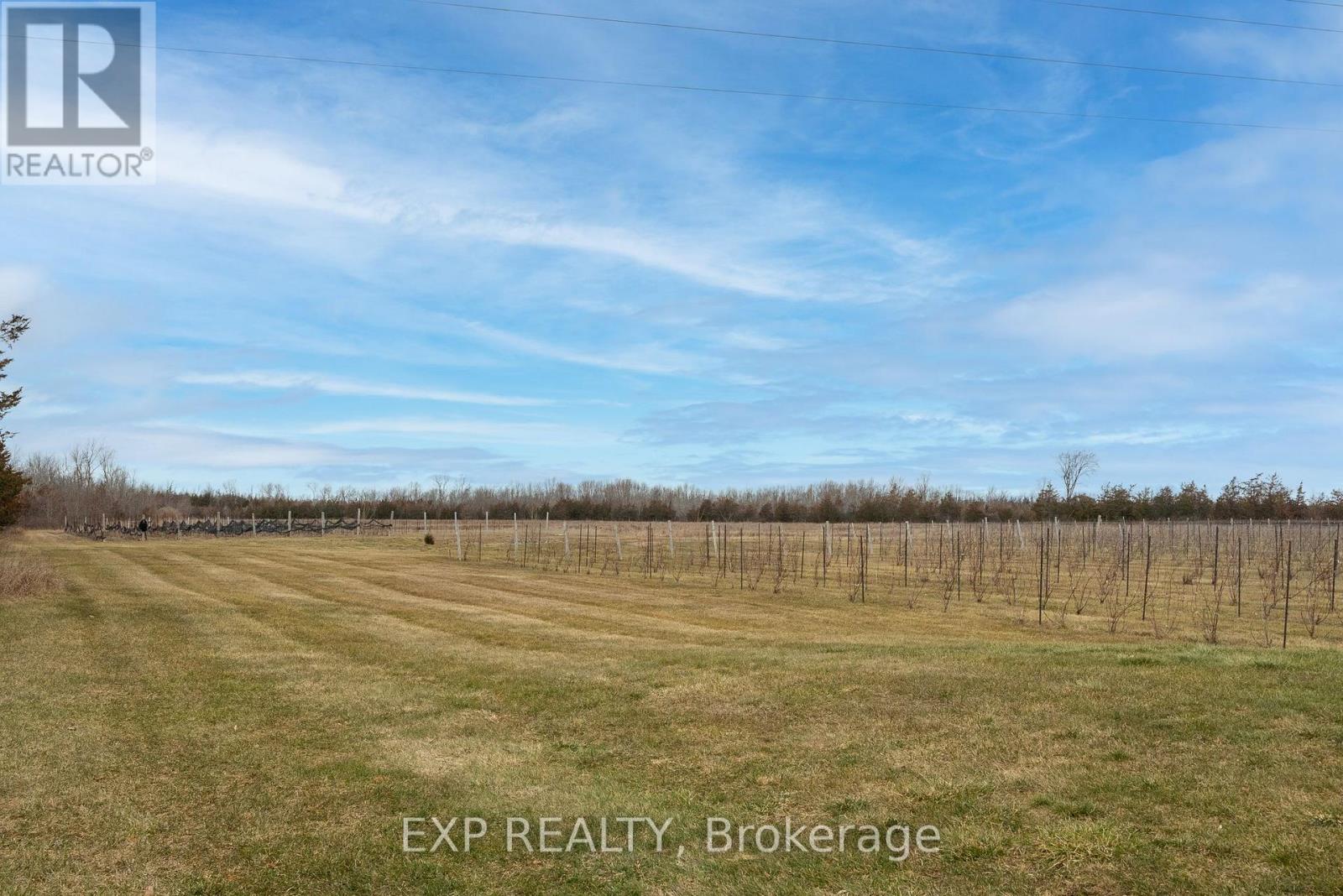3589 County Road 8, Prince Edward County (North Marysburg Ward), Ontario  K0K 2T0 - Photo 38 - X12772776