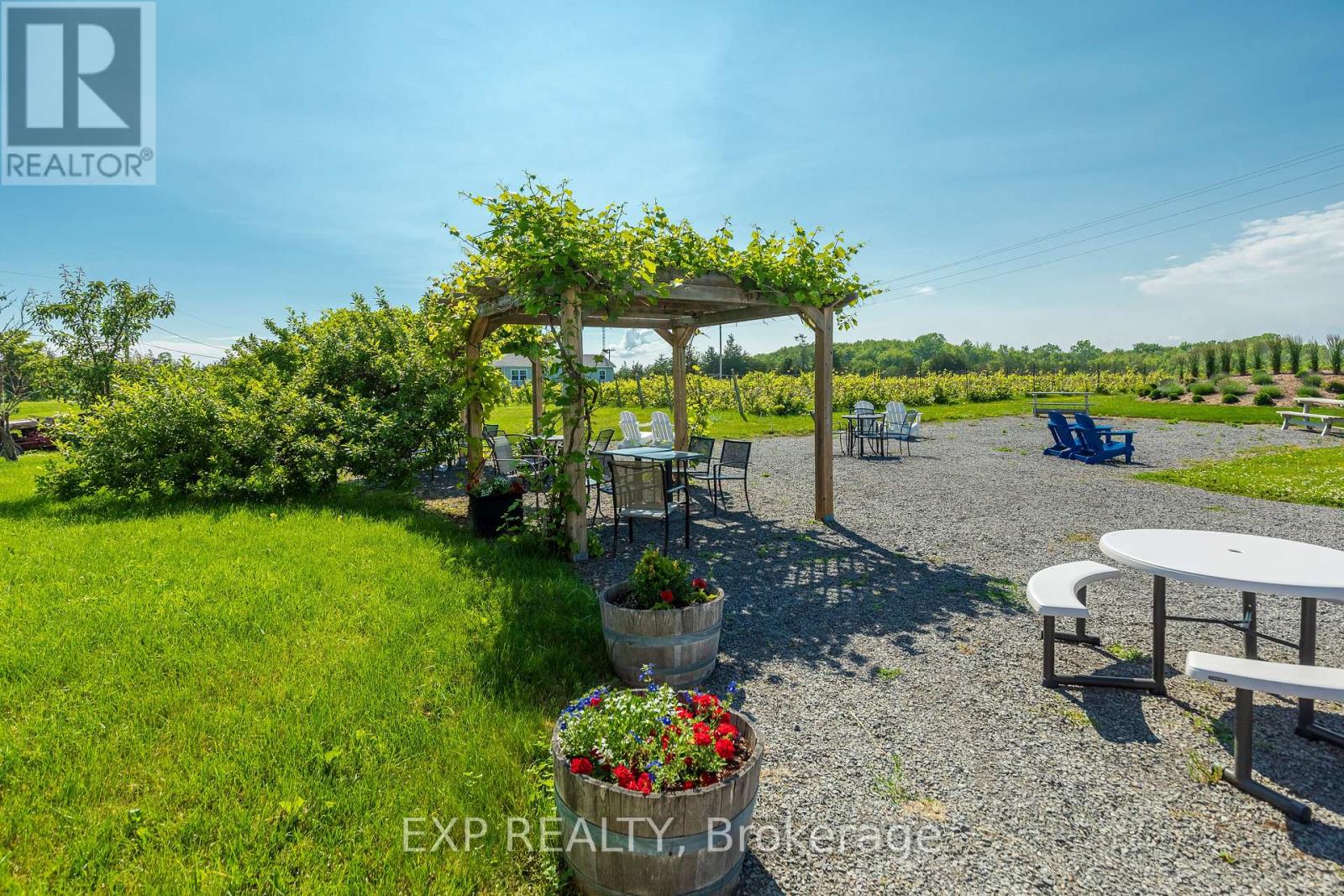 3609 County Road 8, Prince Edward County (North Marysburg Ward), Ontario  K0K 2T0 - Photo 16 - X12772778