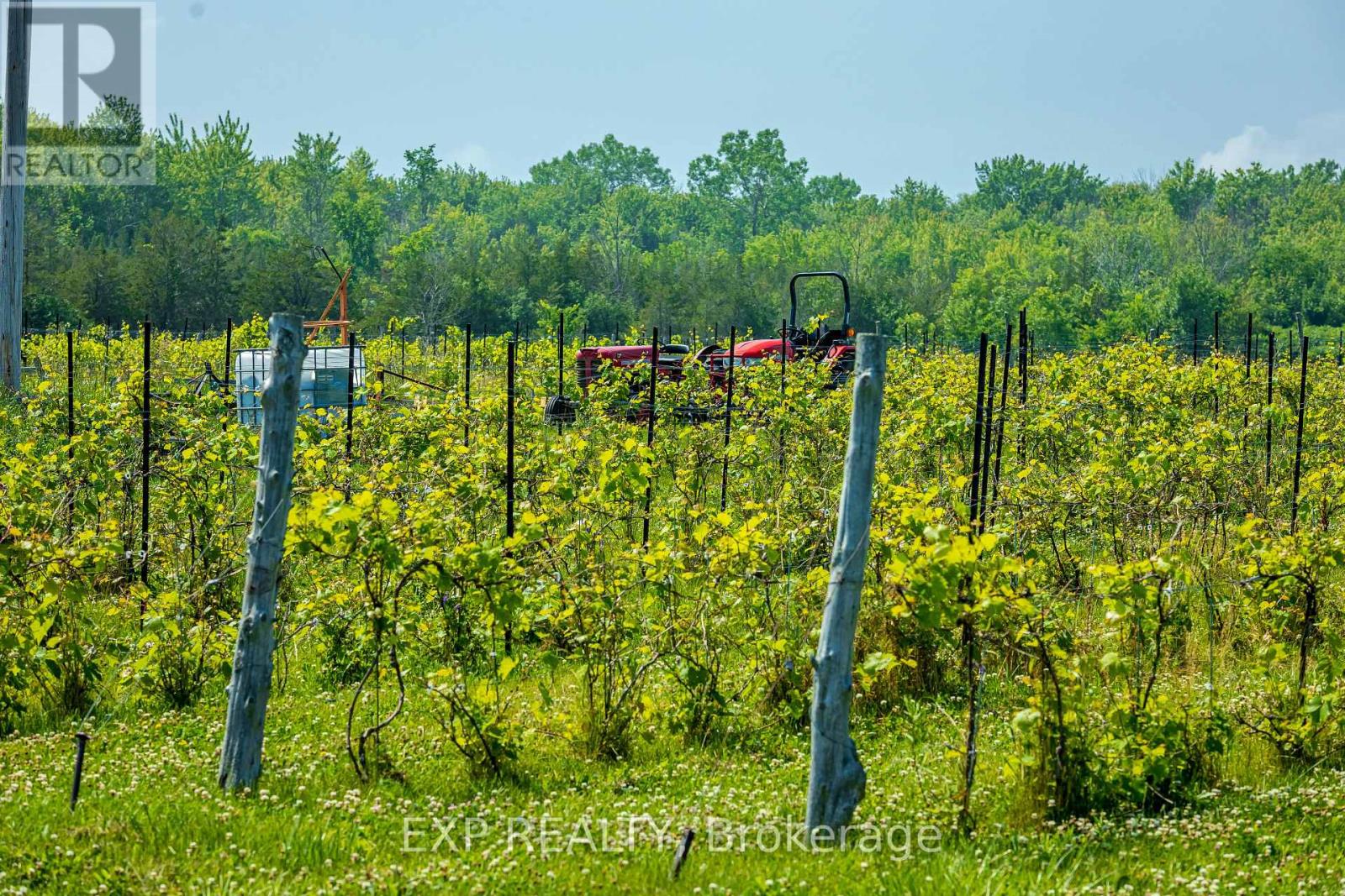 3609 County Road 8, Prince Edward County (North Marysburg Ward), Ontario  K0K 2T0 - Photo 37 - X12772778