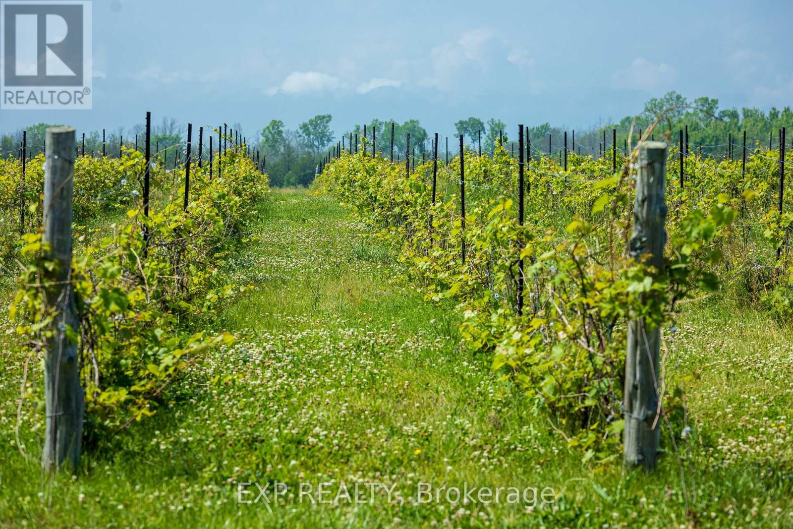 3609 County Road 8, Prince Edward County (North Marysburg Ward), Ontario  K0K 2T0 - Photo 39 - X12772778