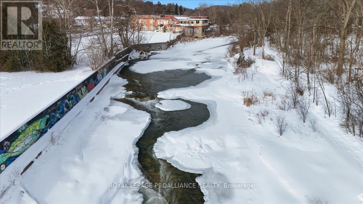 96 Cavan Street, Port Hope, Ontario  L1A 3B7 - Photo 3 - X12772786