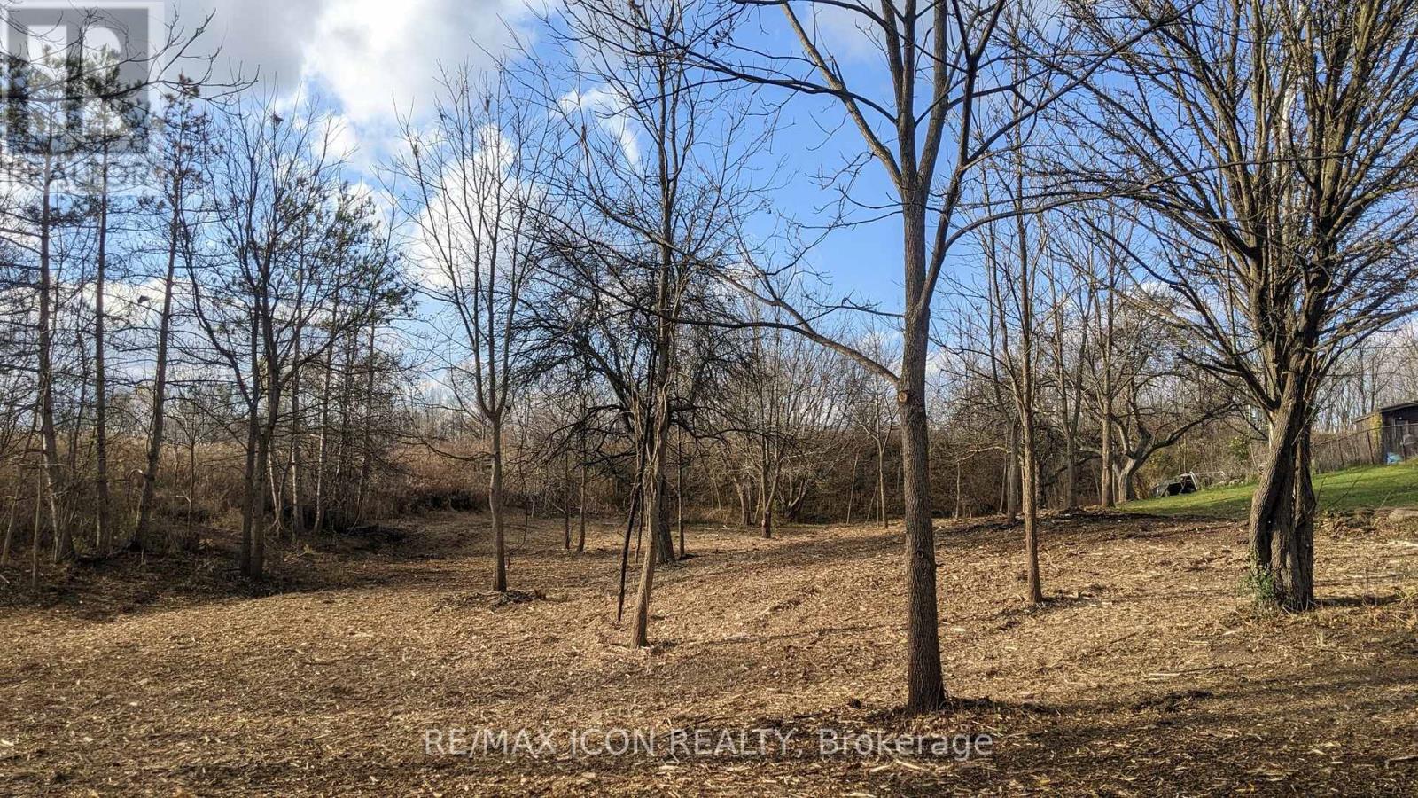 237 Frederick Street W, Southwest Middlesex, Ontario  N0L 1Z0 - Photo 2 - X12772688