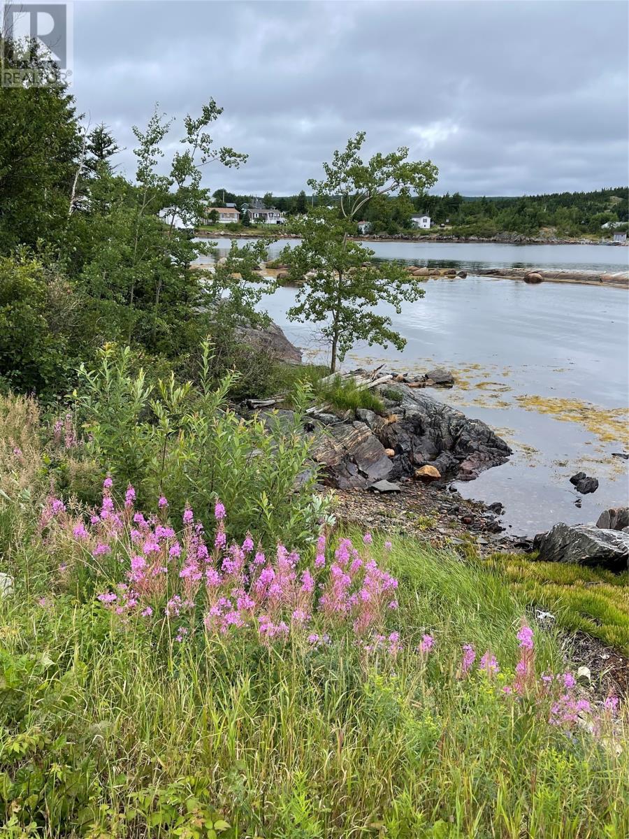 26 Main Road, Hare Bay, Newfoundland & Labrador  A0G 2P0 - Photo 36 - 1287433