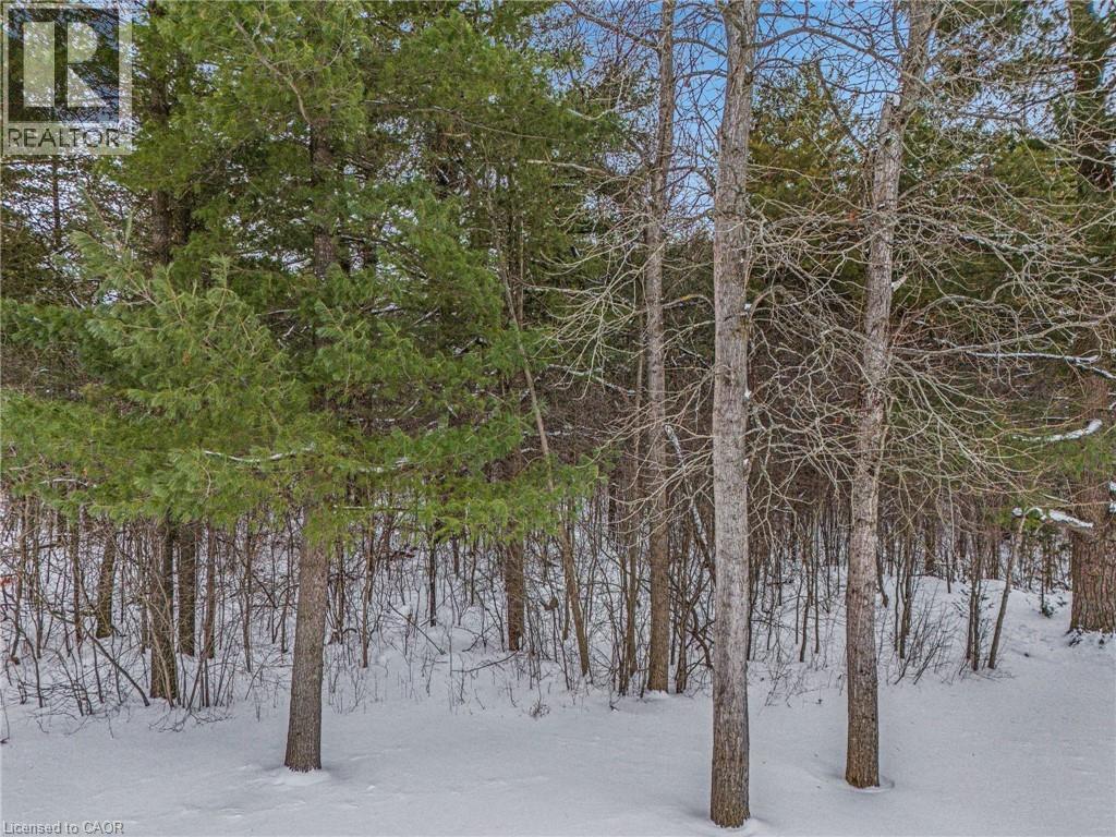 117 Bushmill Circle, Freelton, Ontario  L8B 1A5 - Photo 50 - 40802273