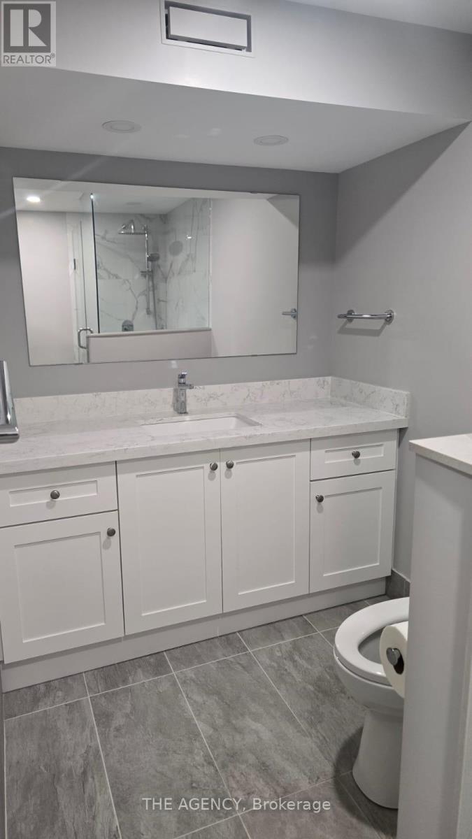 Basement - 74 Portico Drive, Toronto, Ontario  M1G 3R6 - Photo 15 - E12772760