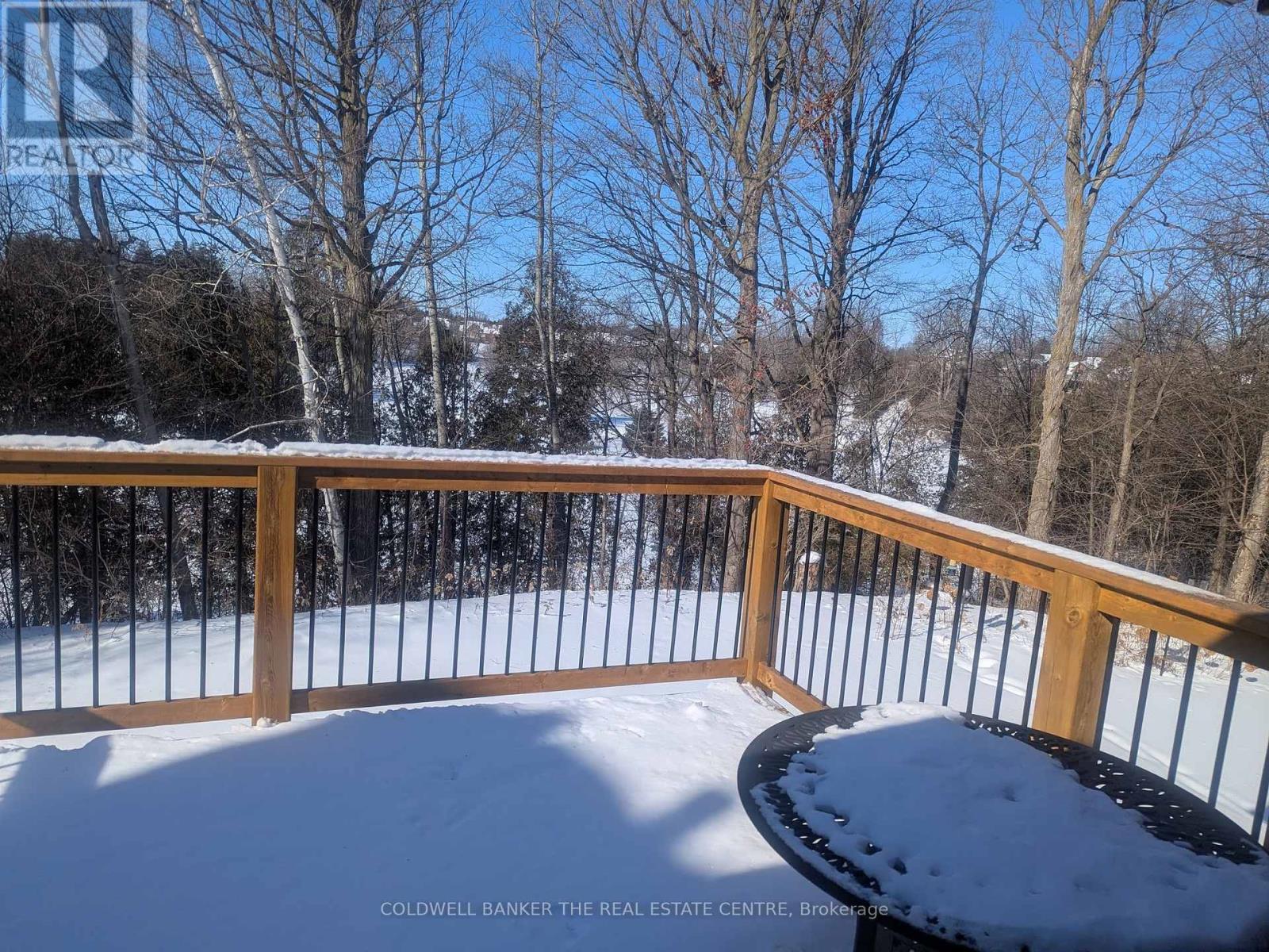 110 Riverview Road, New Tecumseth, Ontario  L9R 1S4 - Photo 4 - N12772856