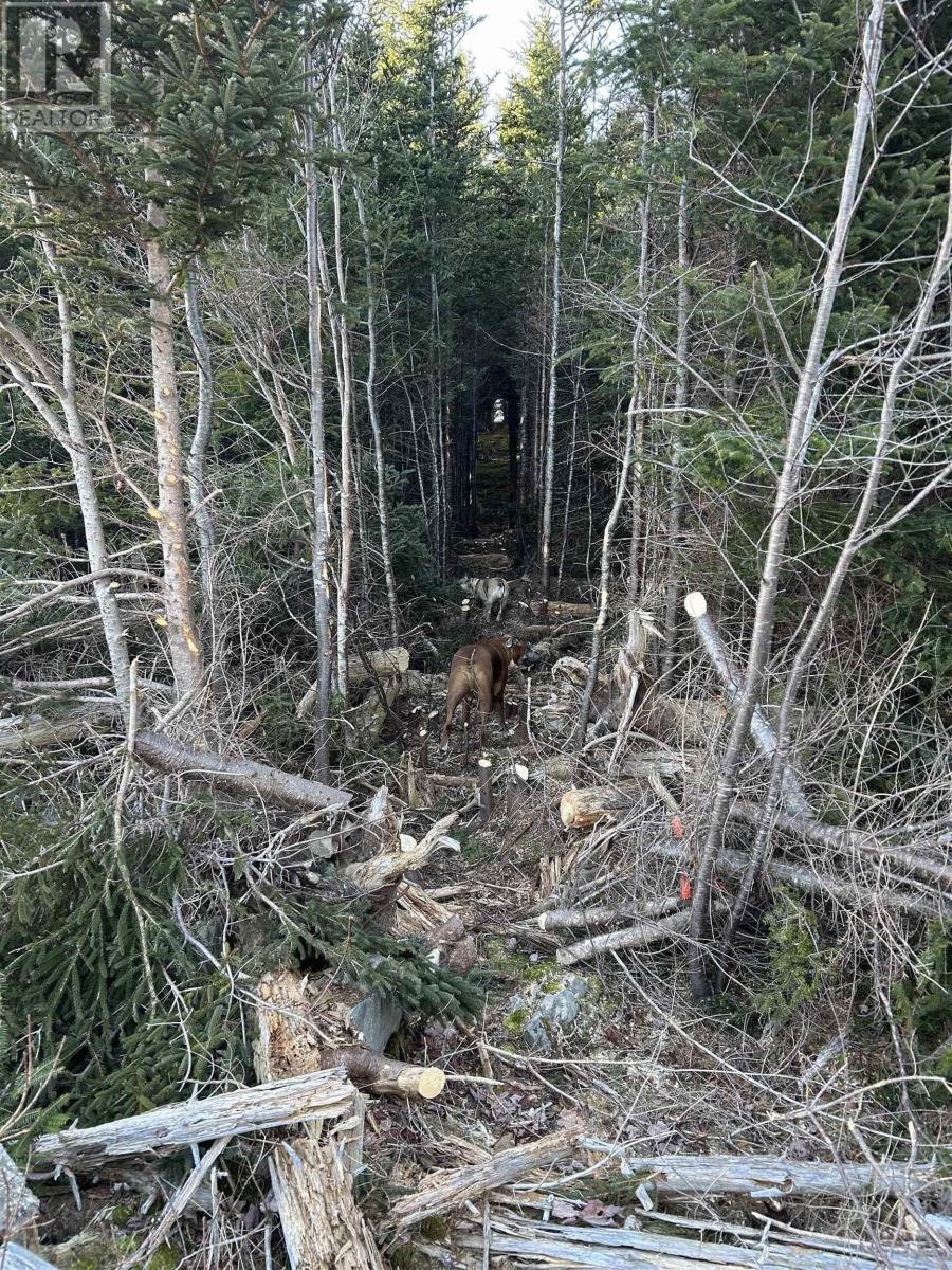 Lot 4-B West Petpeswick Road, Musquodoboit Harbour, Nova Scotia  B0J 2L0 - Photo 11 - 202514974