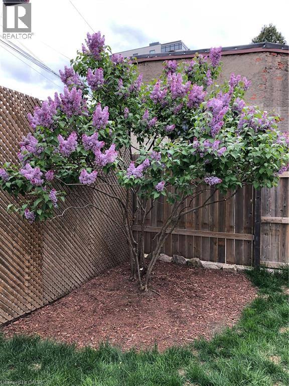 132 Ferguson Avenue N, Hamilton, Ontario  L8R 1L7 - Photo 19 - 40800414