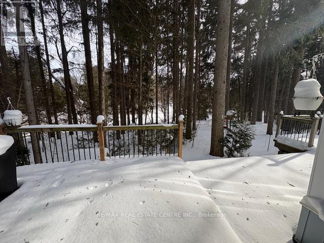 20462 Willoughby Road, Caledon, Ontario  L7K 1V3 - Photo 42 - W12442683