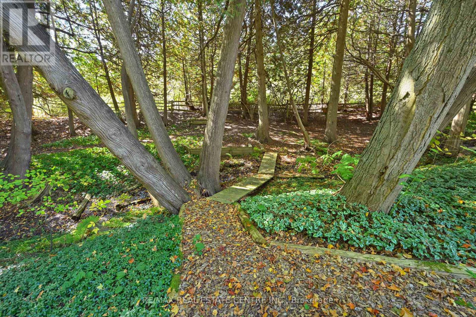 20462 Willoughby Road, Caledon, Ontario  L7K 1V3 - Photo 35 - W12442683