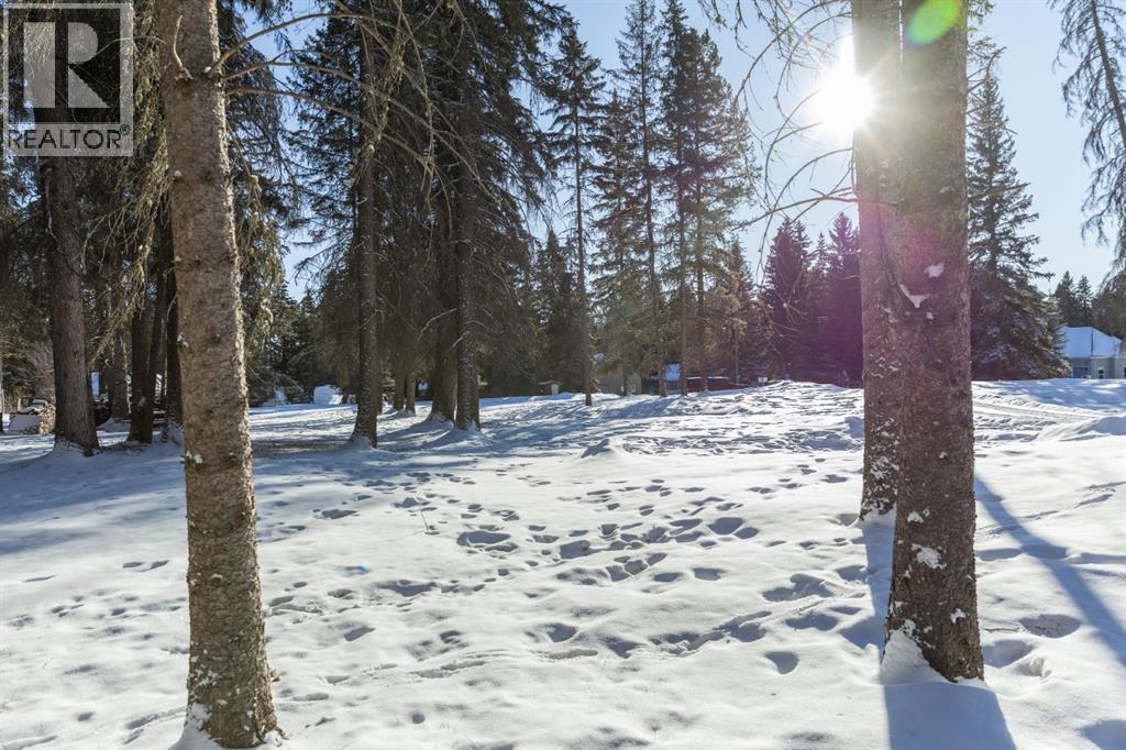 126, 62036 Township Road 462 Township, Rural Wetaskiwin No. 10, Alberta  T0C 0T0 - Photo 42 - A2280417