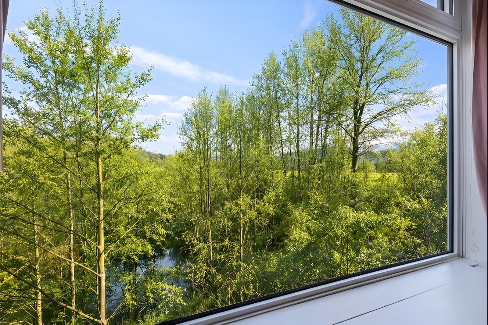 116 2238 Whatcom Road, Abbotsford, British Columbia  V3G 0E6 - Photo 15 - R3080484