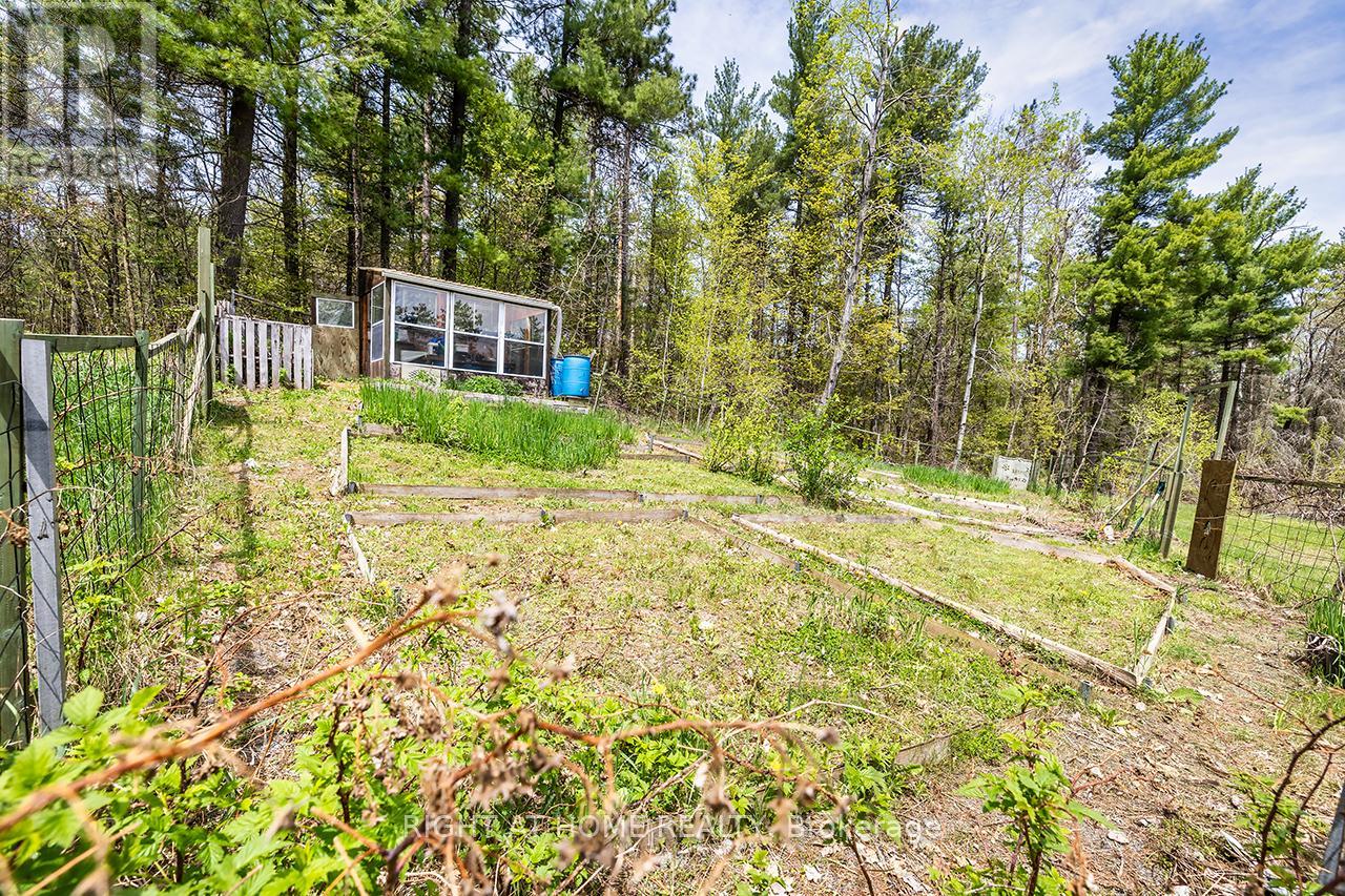 414 Pratt Road, Alnwick/haldimand, Ontario  K0K 3K0 - Photo 28 - X12772924