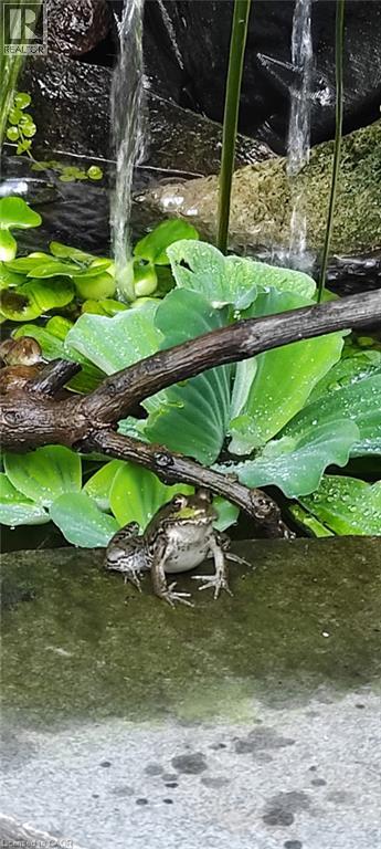 119 Port Robinson Road, Fonthill, Ontario  L0S 1E0 - Photo 35 - 40788945