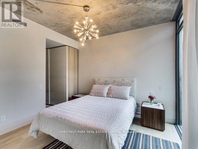 309 - 650 King Street W, Toronto, Ontario  M5V 0H6 - Photo 3 - C12773004