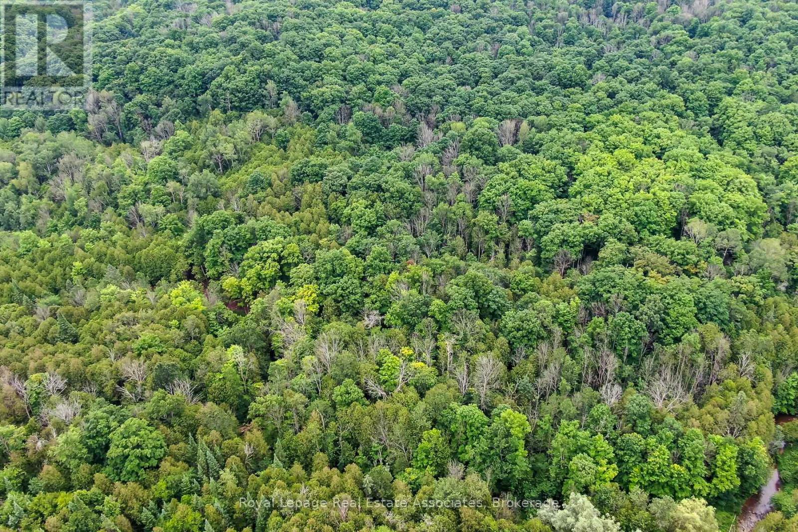 30725 Hockley Road, Mono, Ontario  L9W 6N7 - Photo 5 - X12773112