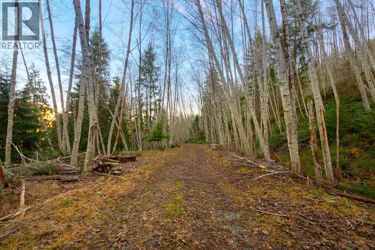 1049 Grafton Road, Bowen Island, British Columbia  V0N 1G2 - Photo 3 - R3084896