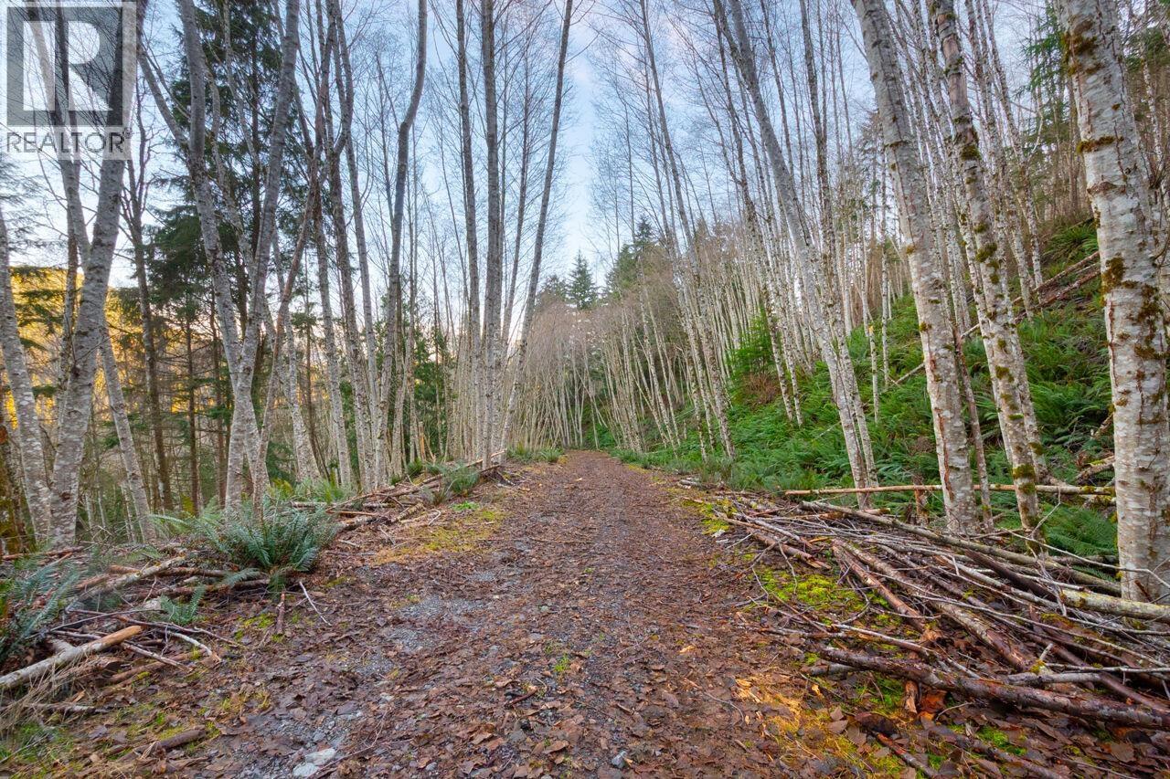 1049 Grafton Road, Bowen Island, British Columbia  V0N 1G2 - Photo 6 - R3084896