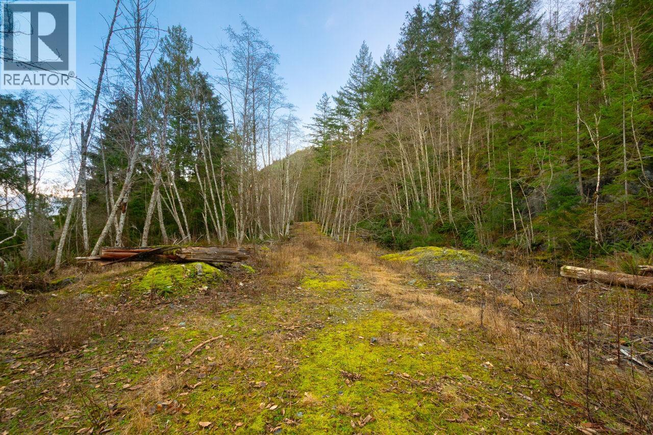 1049 Grafton Road, Bowen Island, British Columbia  V0N 1G2 - Photo 7 - R3084896