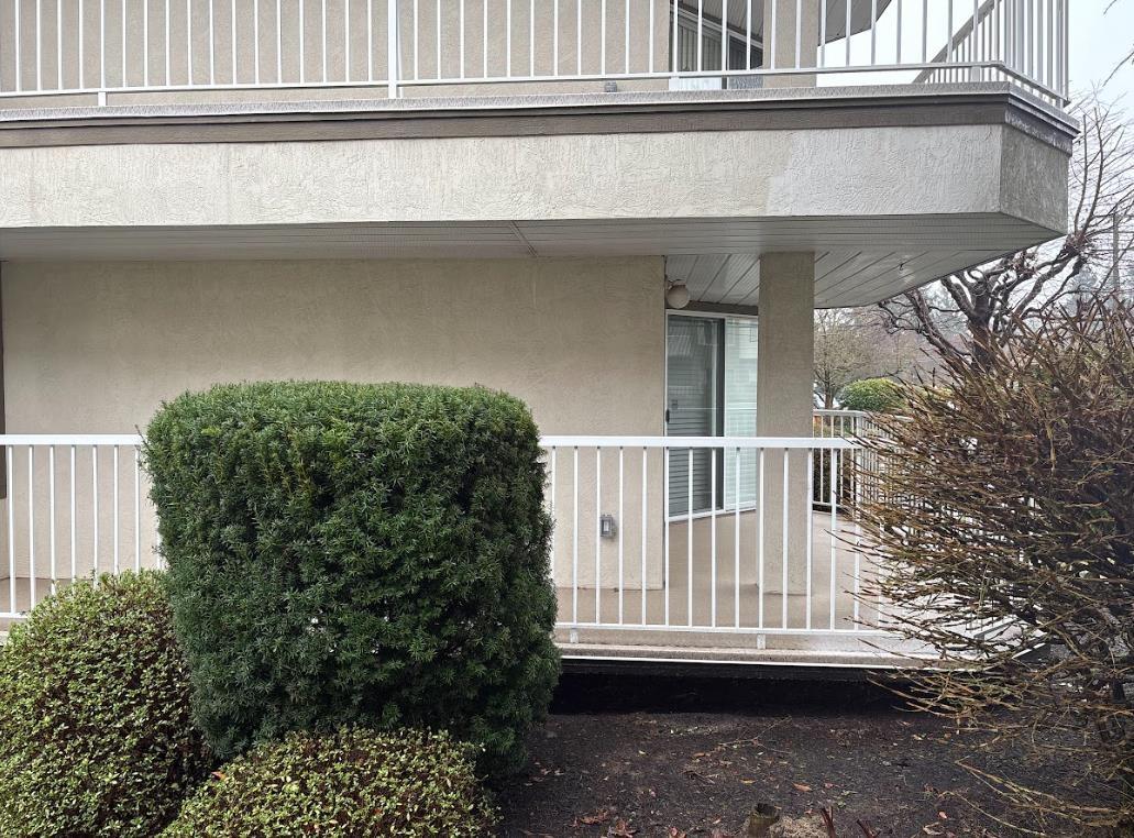 101 33401 Mayfair Avenue, Abbotsford, British Columbia  V2S 6Z2 - Photo 3 - R3087606