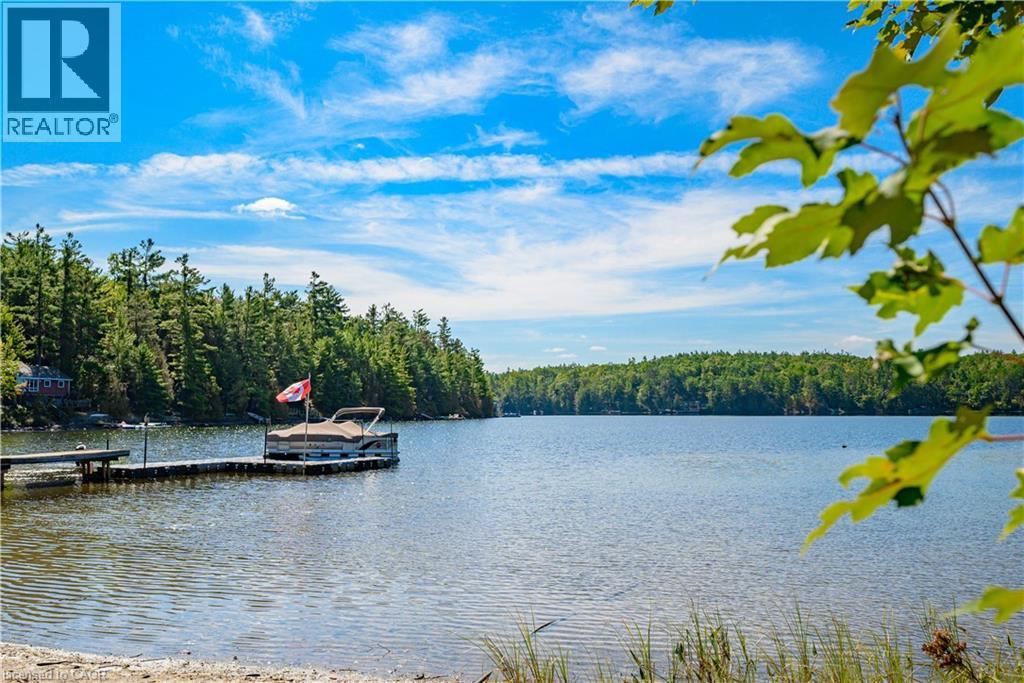 1230 Forsters Road, Minden Hills, Ontario  K0M 2K0 - Photo 37 - 40773377