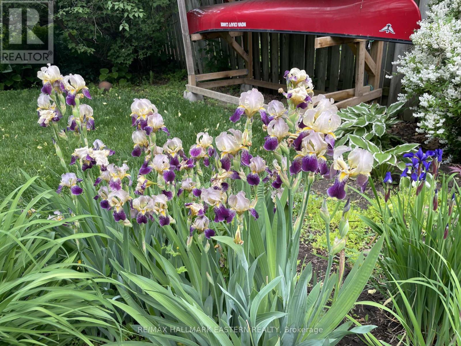 84 Cadillac Avenue S, Oshawa, Ontario  L1H 5Z2 - Photo 42 - E12772936