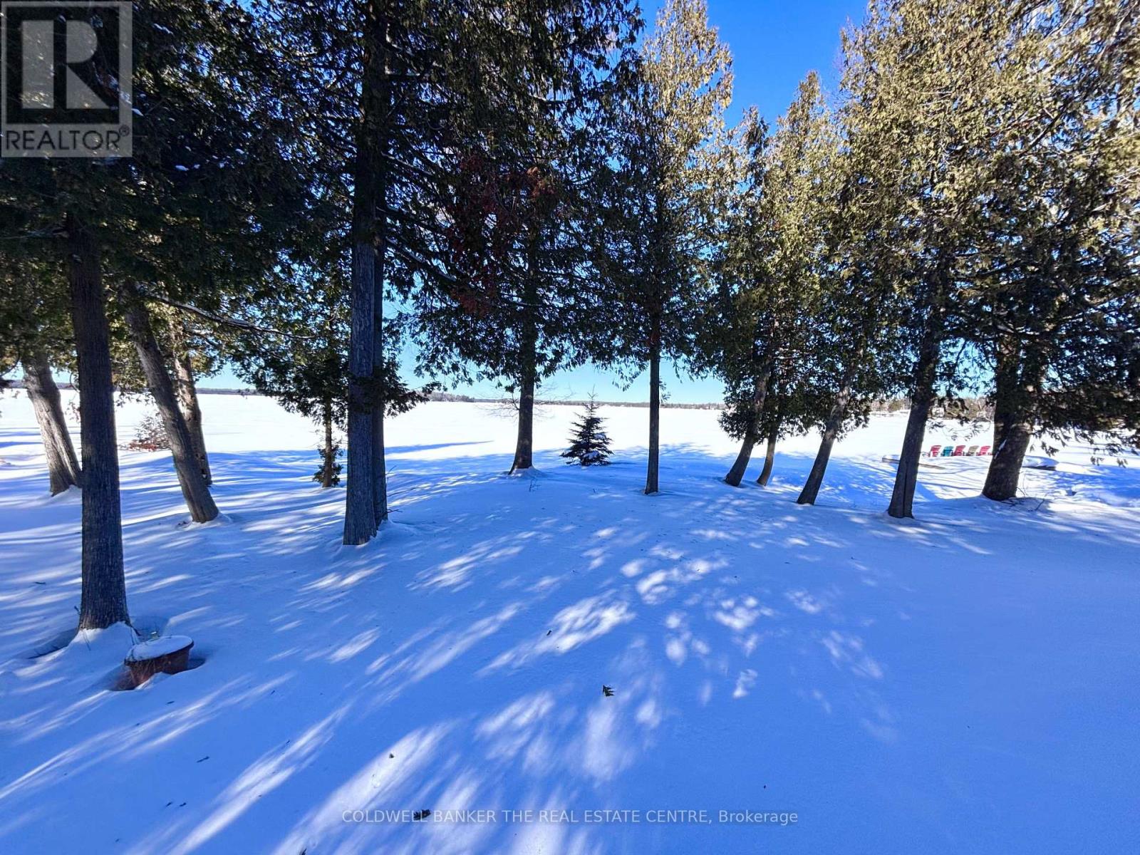 54 Mason Lane, Kawartha Lakes, Ontario  K0M 1N0 - Photo 38 - X12773288