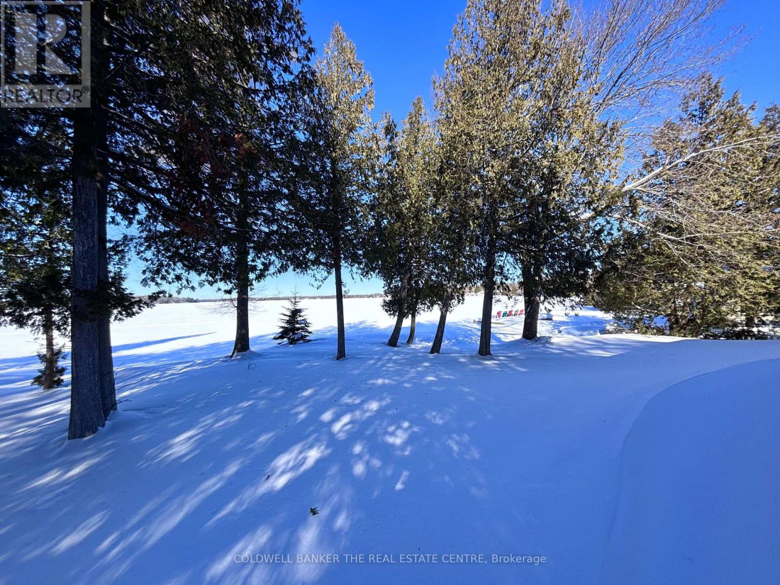 54 Mason Lane, Kawartha Lakes, Ontario  K0M 1N0 - Photo 41 - X12773288