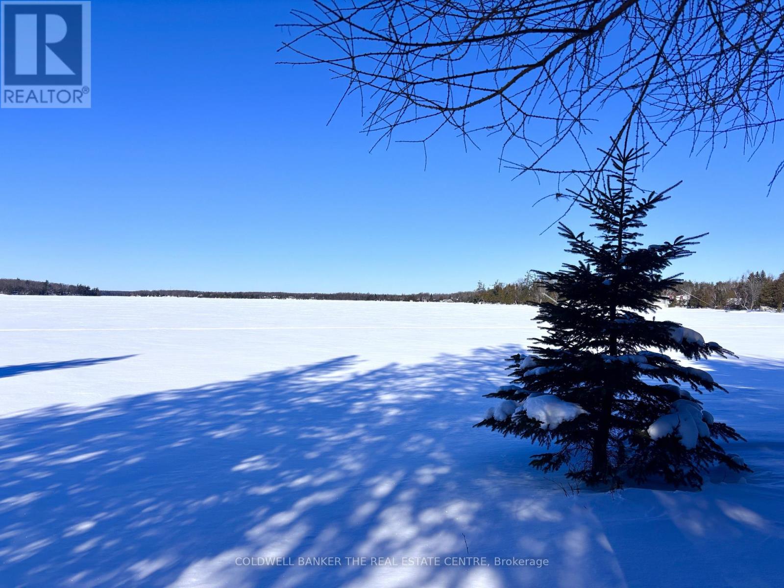 54 Mason Lane, Kawartha Lakes, Ontario  K0M 1N0 - Photo 42 - X12773288