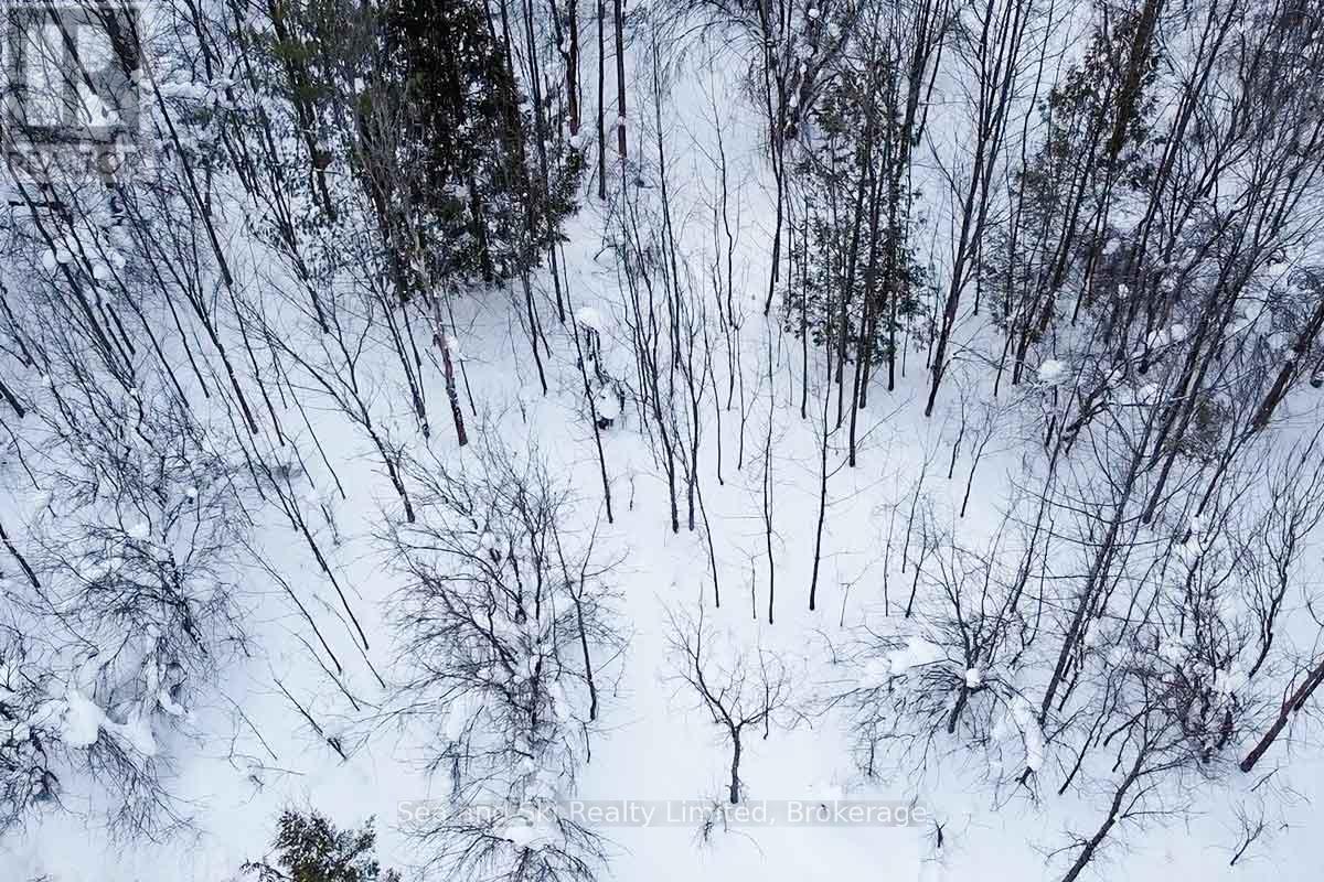 180 Bowles Bluff Road, Grey Highlands, Ontario  N0C 1H0 - Photo 10 - X12769362