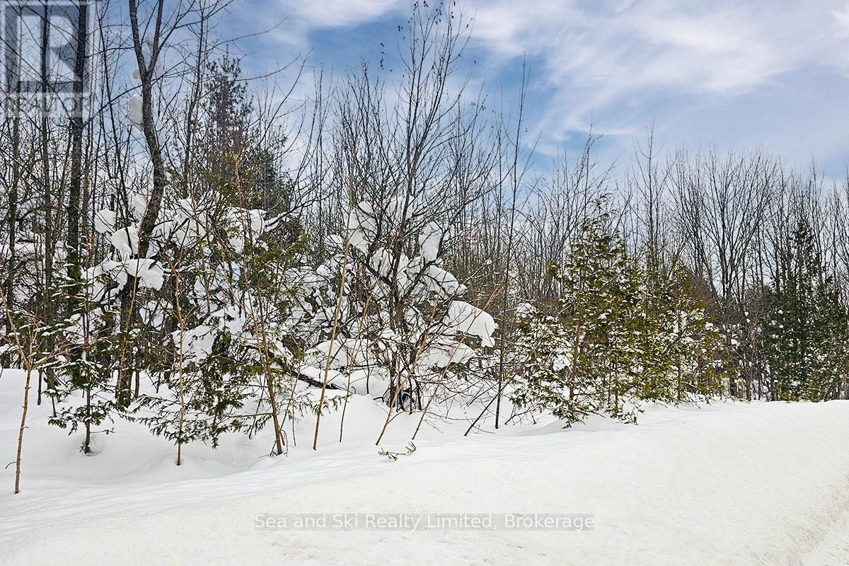 180 Bowles Bluff Road, Grey Highlands, Ontario  N0C 1H0 - Photo 8 - X12769362