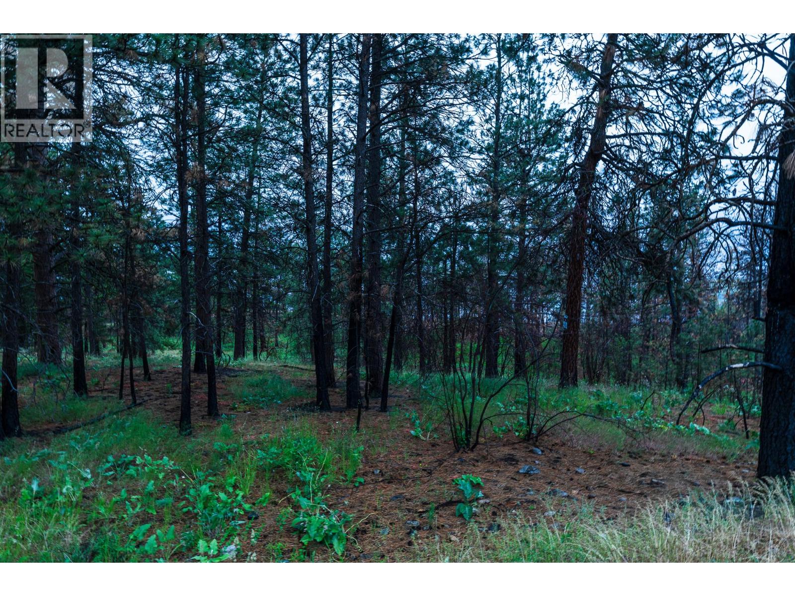 1135 Westside Road, West Kelowna, British Columbia  V1Z 3S1 - Photo 33 - 10374892