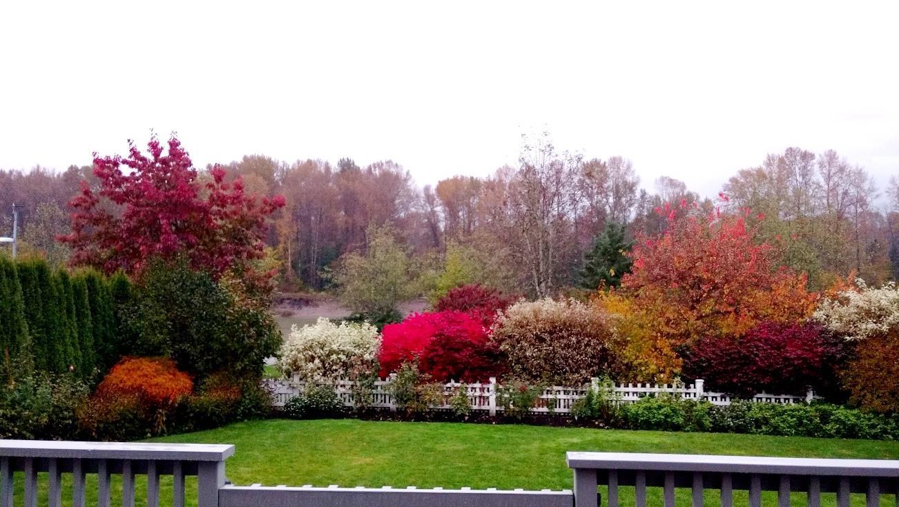 23073 Muench Trail, Langley, British Columbia  V1M 4G6 - Photo 33 - R3087481