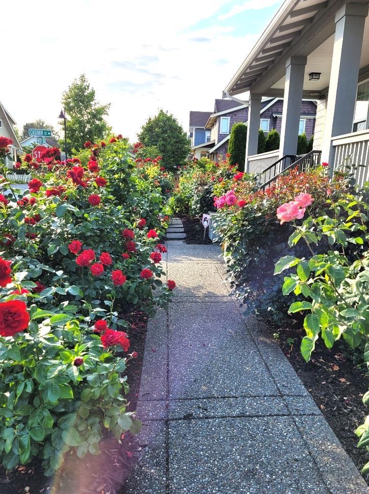 23073 Muench Trail, Langley, British Columbia  V1M 4G6 - Photo 34 - R3087481