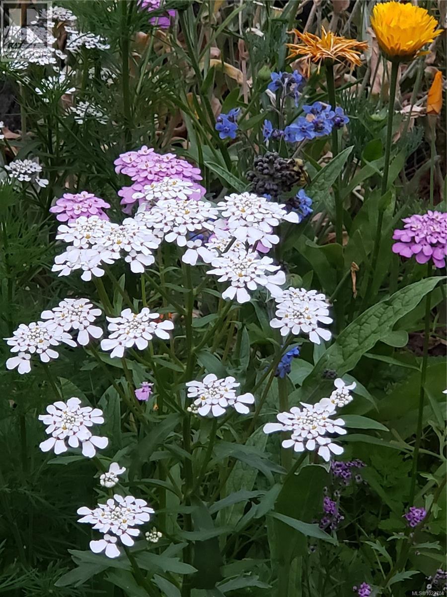 1252 Isabella Point Rd, Salt Spring, British Columbia  V8K 2T9 - Photo 45 - 1023704