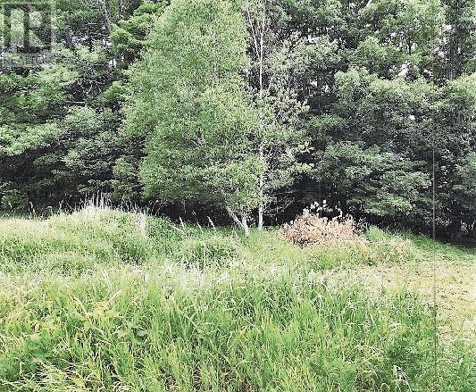 Tbd Doc Strain Drive, Gore Bay, Ontario  P0P 1H0 - Photo 4 - 2126391