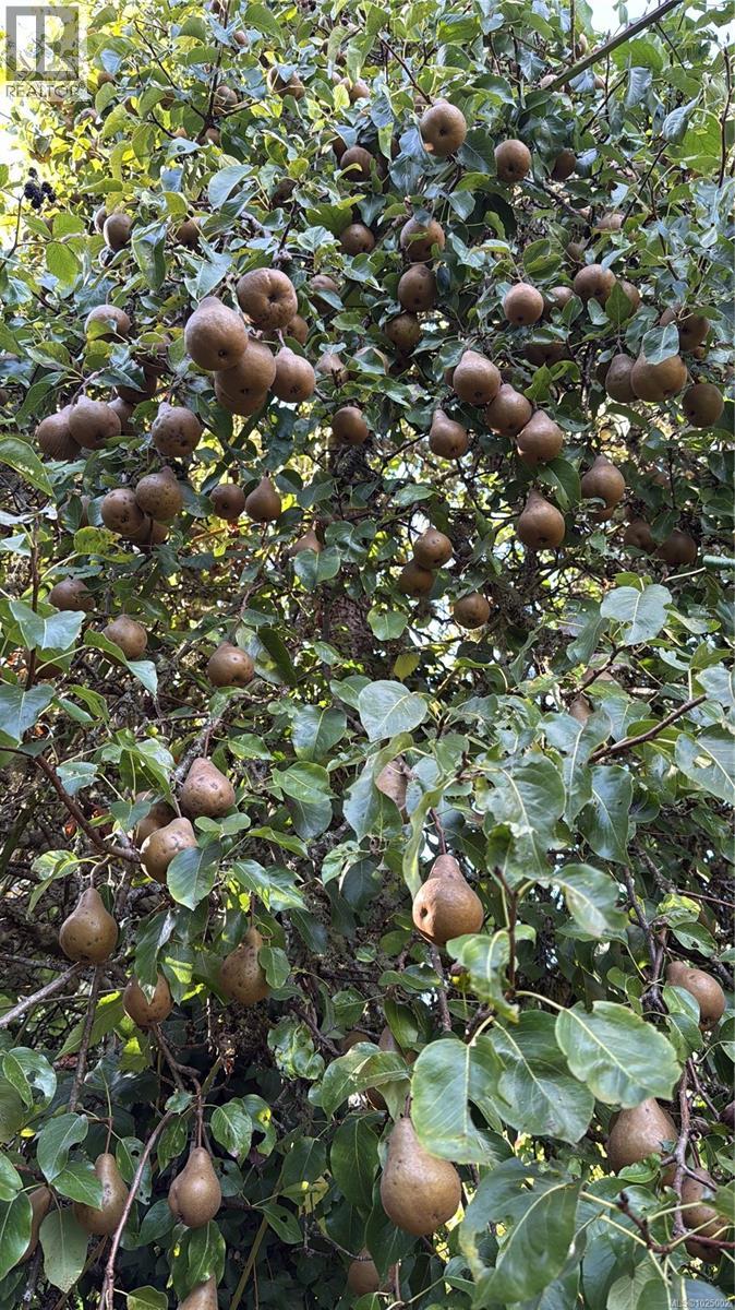 9146 West Saanich Rd, North Saanich, British Columbia  V8L 5T4 - Photo 36 - 1025002