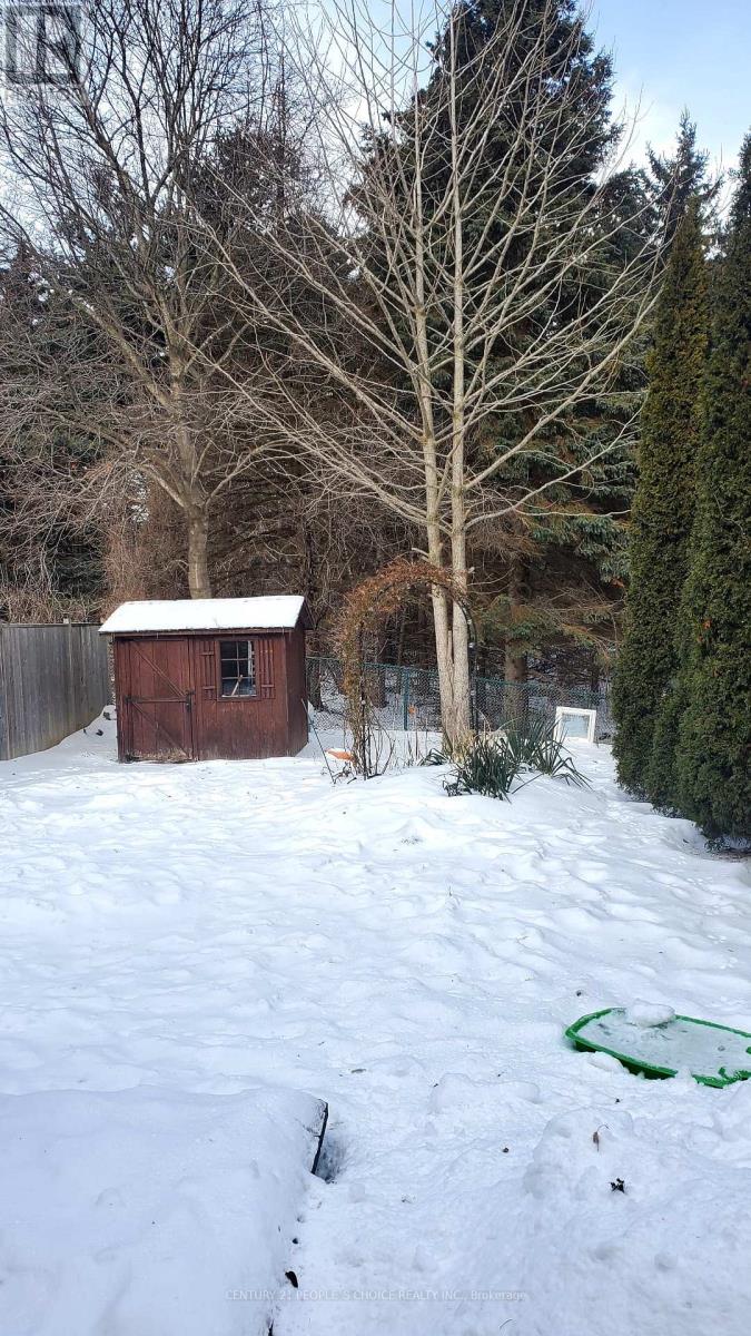 116 Royal Palm Drive W, Brampton, Ontario  L6Z 1P7 - Photo 2 - W12773824