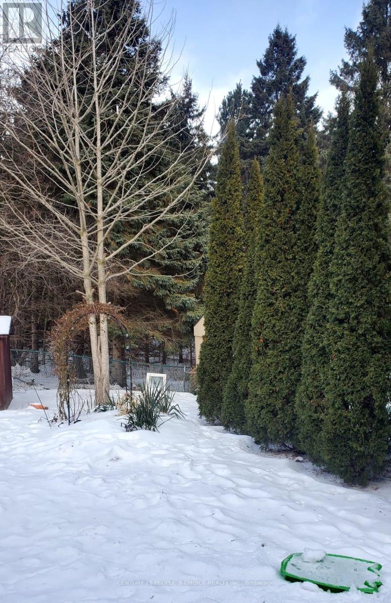 116 Royal Palm Drive W, Brampton, Ontario  L6Z 1P7 - Photo 9 - W12773824