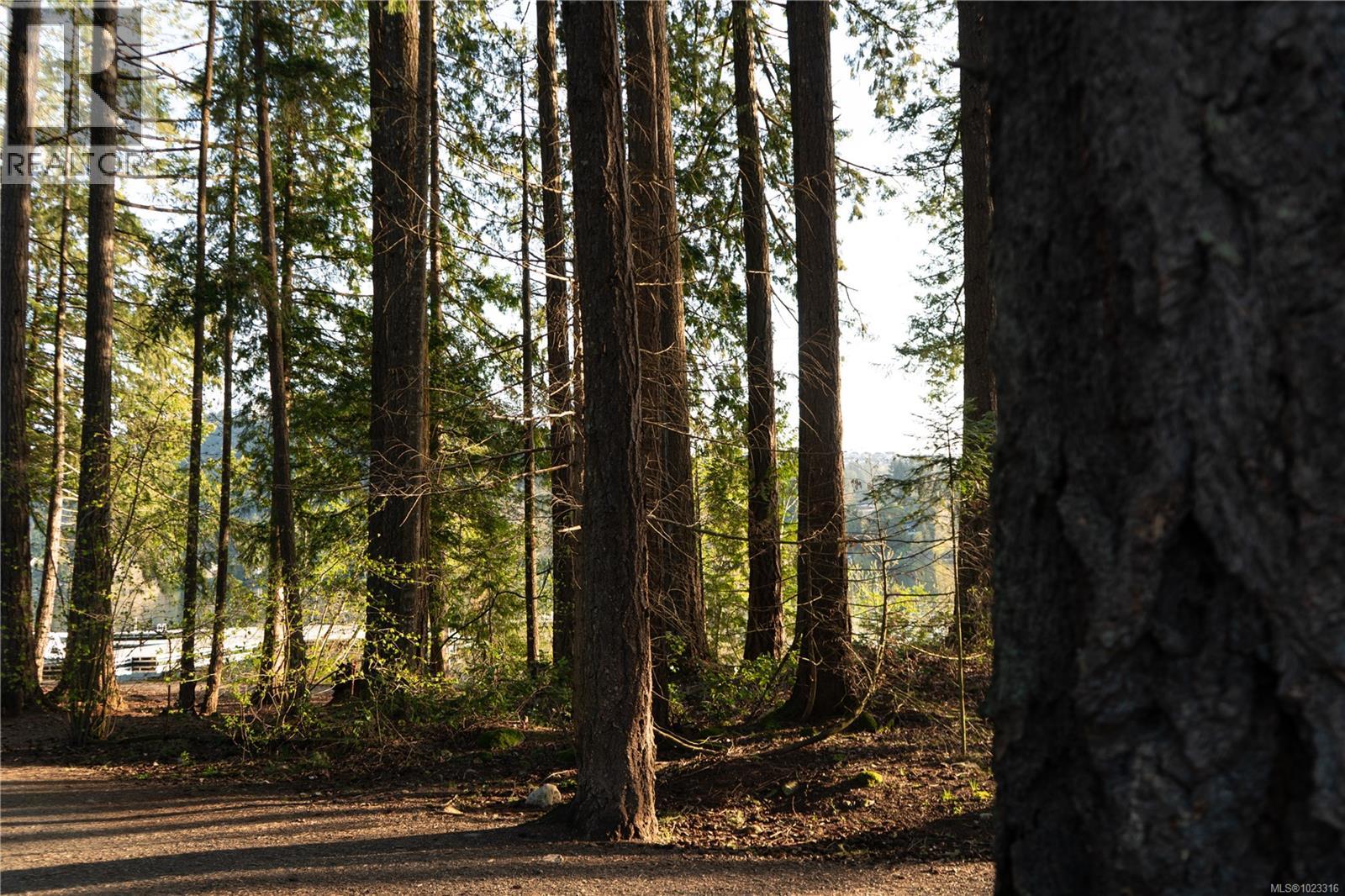 1503 Atlas Dr, Langford, British Columbia  V9B 7C3 - Photo 9 - 1023316