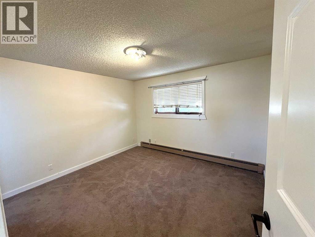 4913 48 Avenue, Forestburg, Alberta  T0B 1N0 - Photo 20 - A2277257