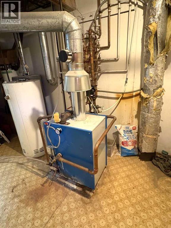 4913 48 Avenue, Forestburg, Alberta  T0B 1N0 - Photo 32 - A2277257