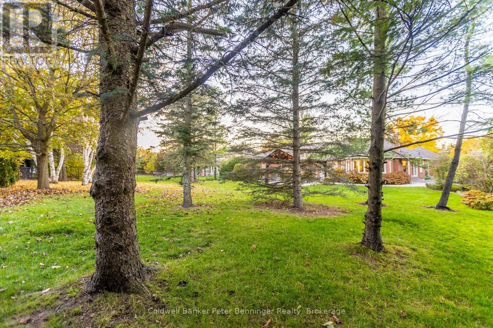 152 Treegrove Circle, Aurora, Ontario  L4G 6M1 - Photo 42 - N12773934