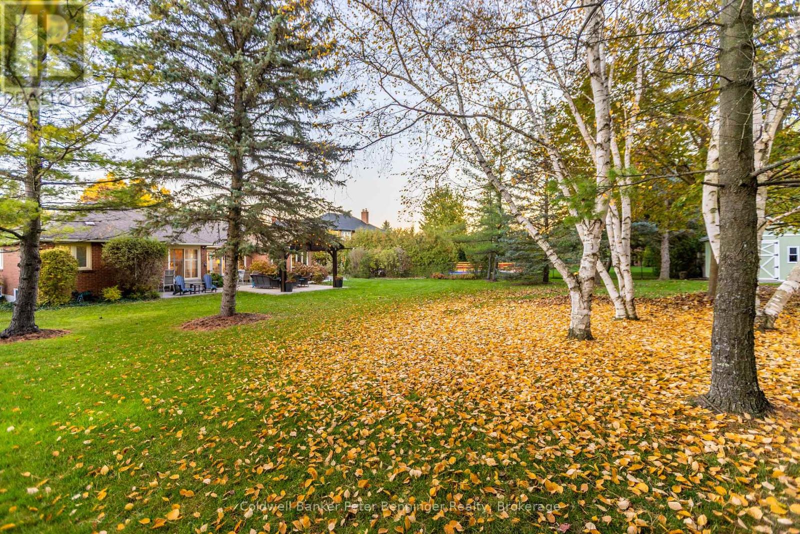 152 Treegrove Circle, Aurora, Ontario  L4G 6M1 - Photo 44 - N12773934