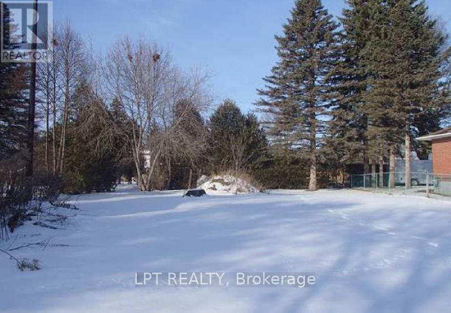 91 Lilly Street W, New Tecumseth (Beeton), Ontario  L0G 1A0 - Photo 3 - N12773910