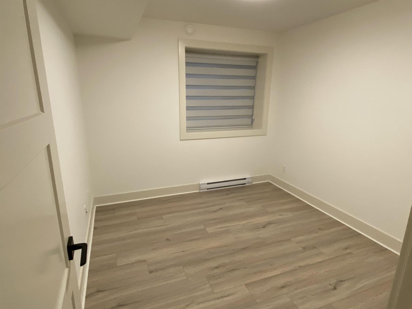 Basement 19811 75th Avenue, Langley, British Columbia  V3Y 5K3 - Photo 3 - R3088331