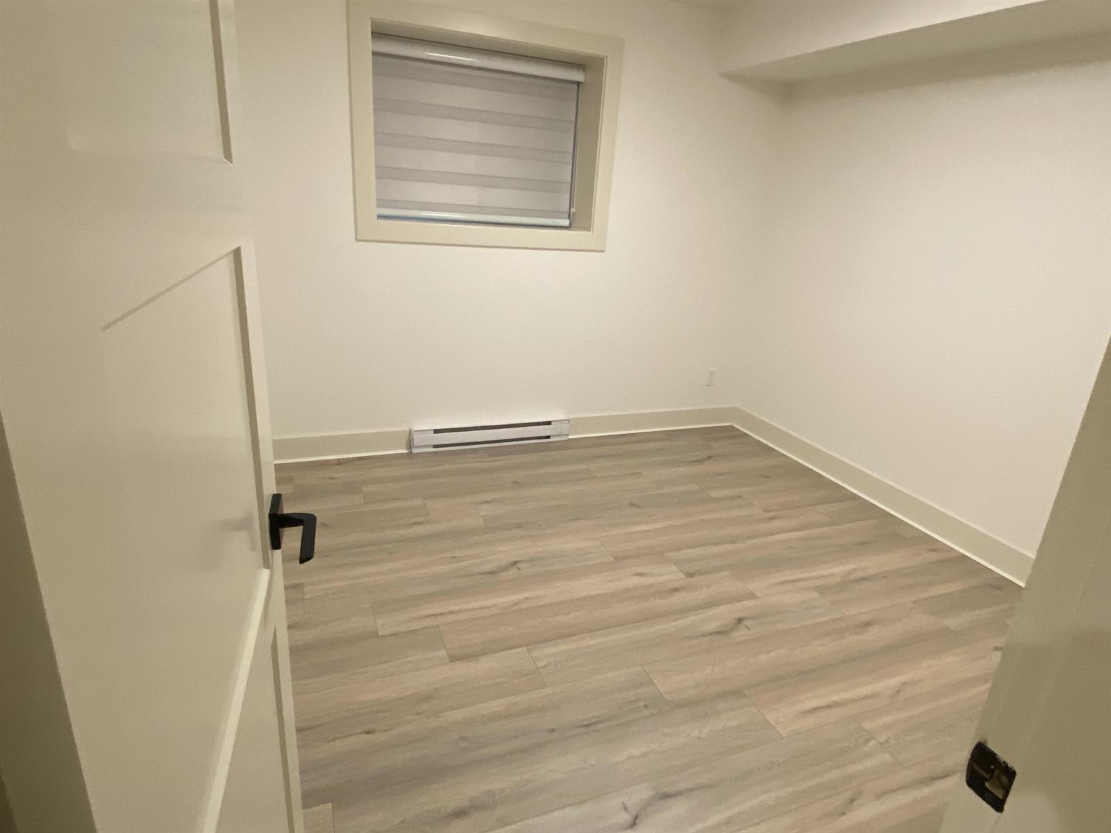 Basement 19811 75th Avenue, Langley, British Columbia  V3Y 5K3 - Photo 5 - R3088331