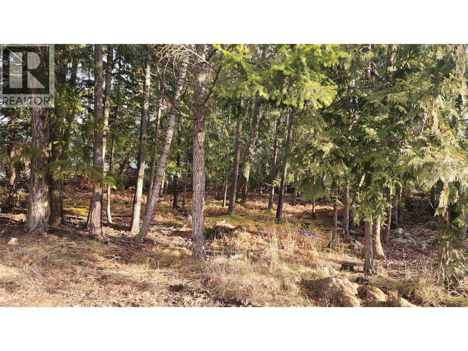 938 23 Highway, Nakusp, British Columbia