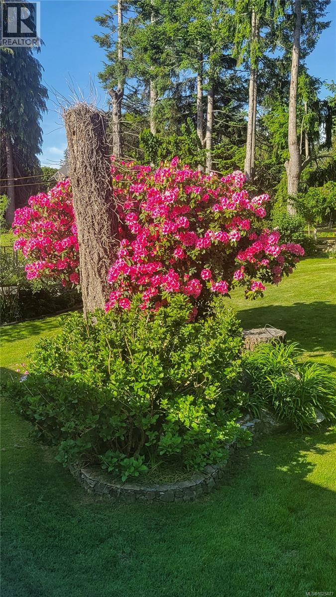 4054 Discovery Dr, Campbell River, British Columbia  V9W 4X7 - Photo 73 - 1025477