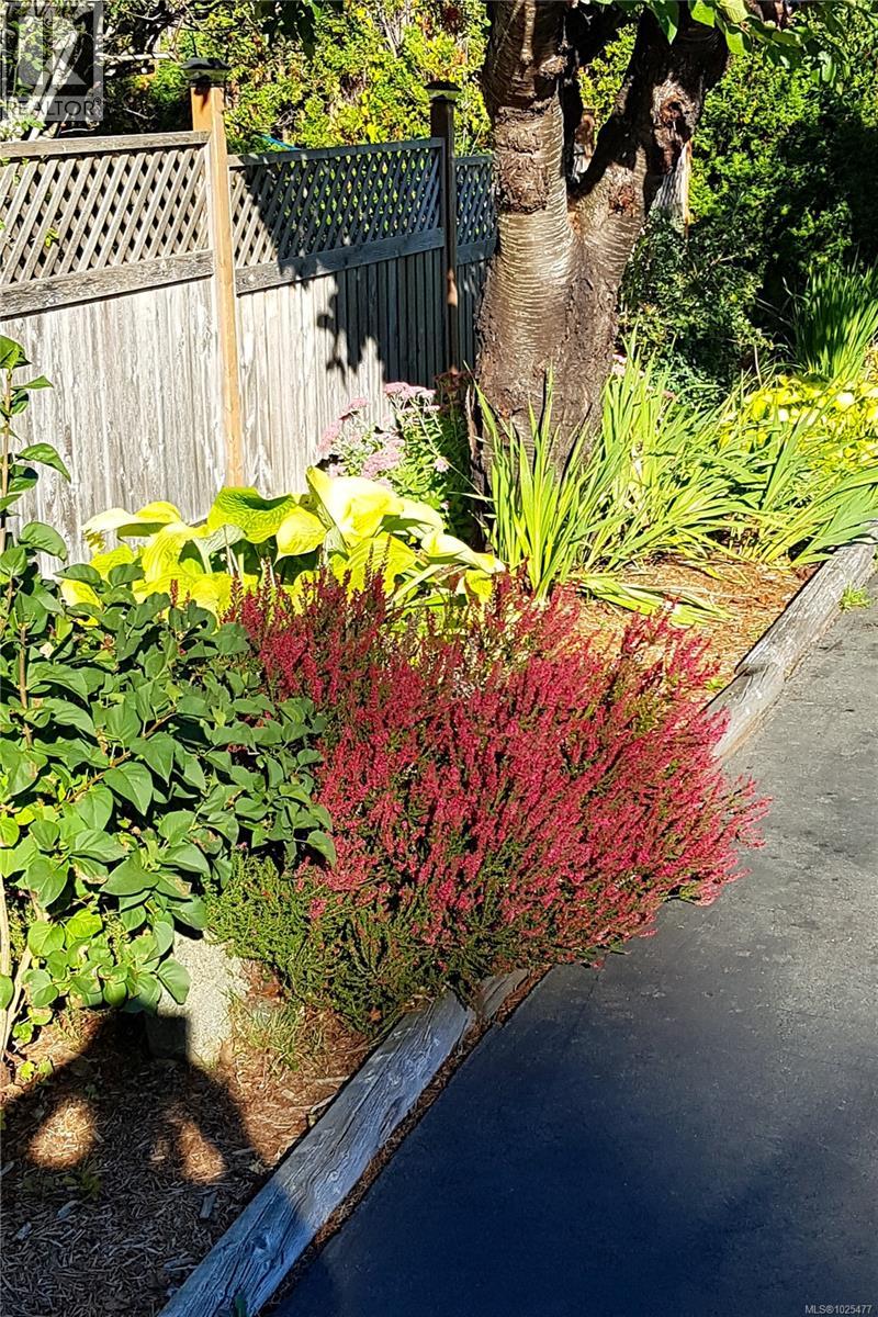 4054 Discovery Dr, Campbell River, British Columbia  V9W 4X7 - Photo 75 - 1025477